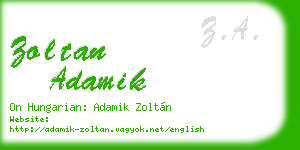 zoltan adamik business card